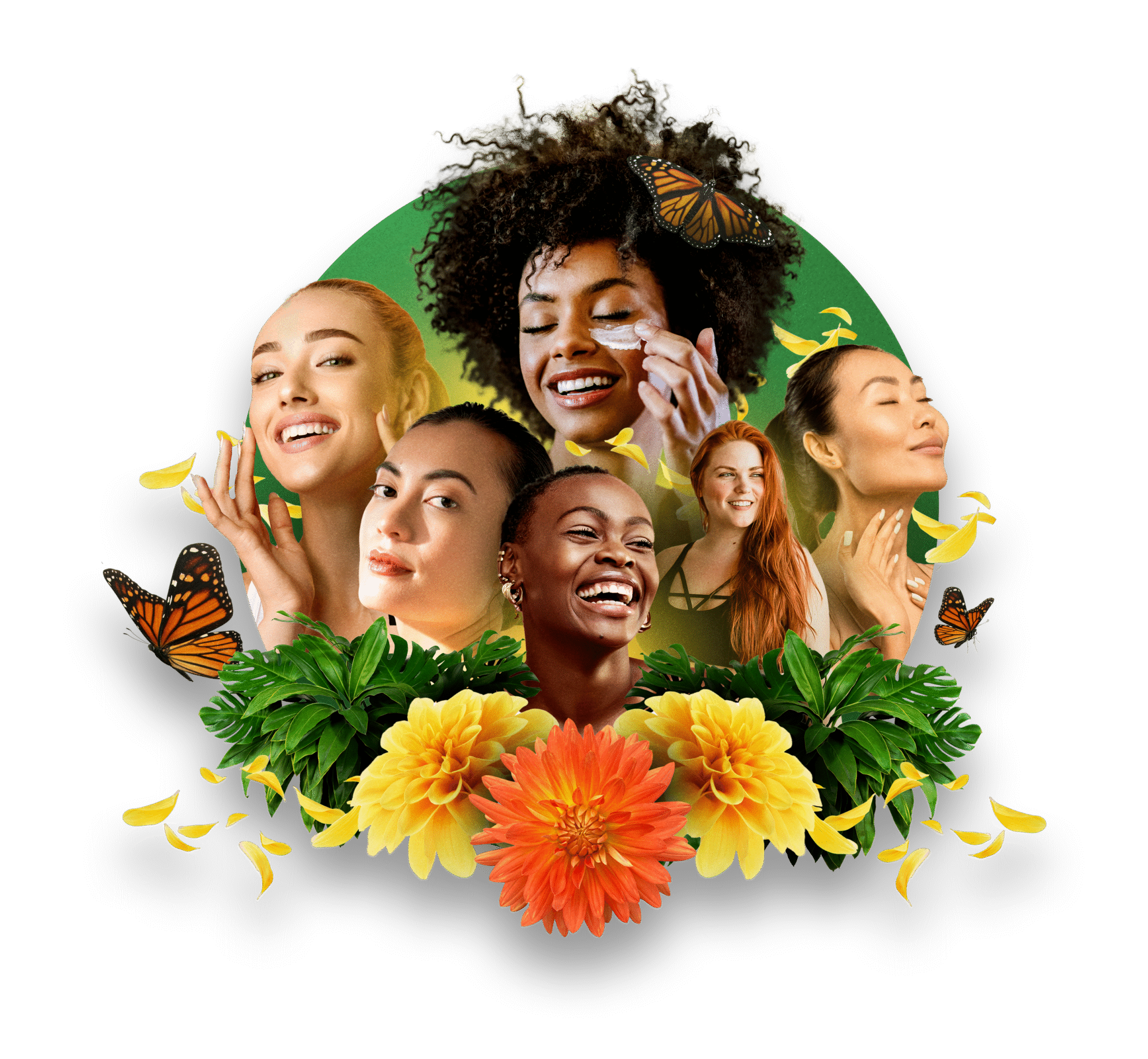 Facialteam Brasil, especialistas em cirurgia de feminização facial ilustração